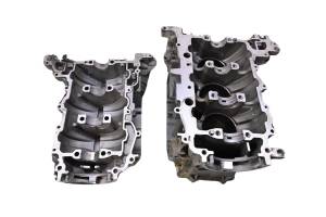 Can-Am - 21 Can-Am Ryker Rally 900 Ace Crankcase Center Crank Case & Cylinders - Image 8