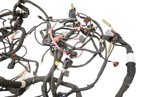 Can-Am - 19 Can-Am Ryker Rally 900 Wire Harness Electrical Wiring - Image 4