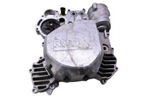 21 Can-Am Ryker Rally 900 Ace Stator Cover