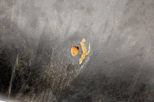 Can-Am - 15 Can-Am Outlander 450 L 4x4 Seat - Image 4