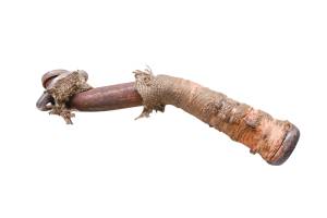 Can-Am - 12 Can-Am Commander 800 4x4 Exhaust Head Pipe - Image 2