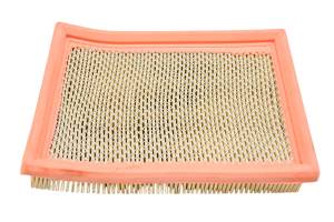 Can-Am - 22 Can-Am Ryker Sport 900 ACE Air Filter - Image 2