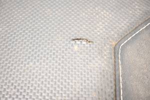 Polaris - 15 Polaris RZR 1000 XP EPS Seat Back Assembly - Image 3