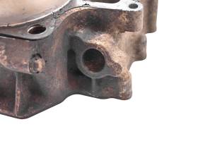 Kawasaki - 04 Kawasaki Prairie 700 Front Cylinder KVF700 - Image 6