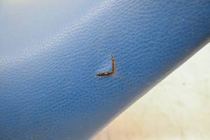 Kawasaki - 91 Kawasaki Mojave 250 2x4 Seat KSF250 - Image 5