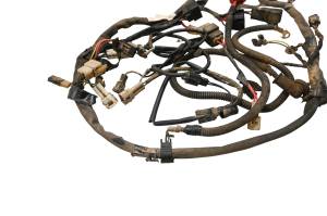 Suzuki - 08 Suzuki LTZ250 Wire Harness Electrical Wiring Quadsport 250 2x4 - Image 2