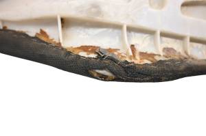 Kawasaki - 05 Kawasaki KFX400 Seat LTZ400 - Image 5