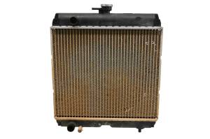 Kubota - 18 Kubota RTV-XG850 Radiator Sidekick 850 - Image 2