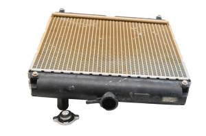 Kubota - 18 Kubota RTV-XG850 Radiator Sidekick 850 - Image 4