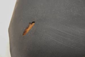 Polaris - 16 Polaris Ranger ETX Seat Bottom Cushion - Image 7