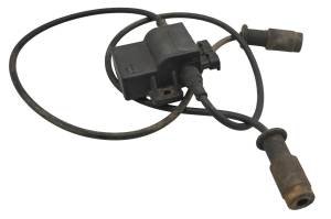 Polaris - 02 Polaris Sportsman 700 4x4 Ignition Coils - Image 2