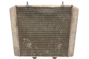 Polaris - 06 Polaris Sportsman 500 X2 4x4 Radiator - Image 2