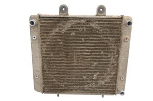 Polaris - 06 Polaris Sportsman 500 X2 4x4 Radiator - Image 3
