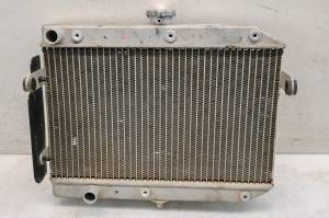 Suzuki - 17 Suzuki King Quad 750 AXi 4x4 Radiator - Image 2