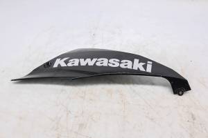 Kawasaki - 18 Kawasaki Ninja 650 ABS Lower Rig Cowling EX650K - Image 1