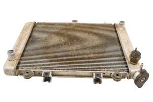 Kawasaki - 06 Kawasaki Brute Force KVF750B Radiator - Image 1