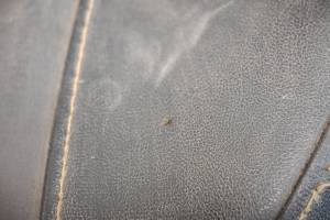 Arctic Cat - 18 Arctic Cat Wildcat Sport XT EPS Seat Bottom Cushion - Image 5