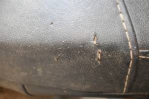 Arctic Cat - 18 Arctic Cat Wildcat Sport XT EPS Seat Bottom Cushion - Image 7