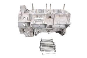 12 Arctic Cat F800 Sno Pro Crankcase Center Crank Case