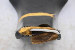 Suzuki - 03 Suzuki LTZ400 Seat KFX400 - Image 4