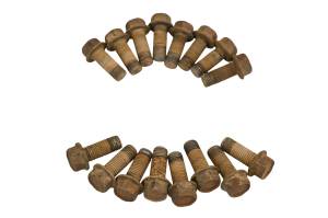 Kawasaki - 21 Kawasaki Teryx KRX 1000 Beadlock Rings KRF1000 - Image 4