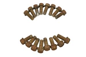 Kawasaki - 21 Kawasaki Teryx KRX 1000 Beadlock Rings KRF1000 - Image 5