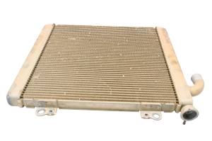 Kawasaki - 21 Kawasaki Teryx KRX 1000 Radiator KRF1000 - Image 3