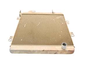 Kawasaki - 21 Kawasaki Teryx KRX 1000 Radiator KRF1000 - Image 4