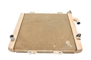 Kawasaki - 21 Kawasaki Teryx KRX 1000 Radiator KRF1000 - Image 5