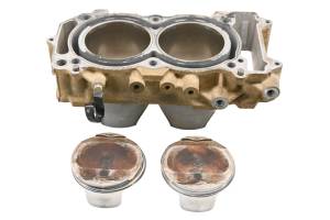 21 Kawasaki Teryx KRX 1000 Cylinders & Pistons KRF1000