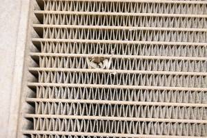 Yamaha - 05 Yamaha Kodiak 400 4x4 Radiator YFM400F - Image 4