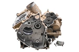 Yamaha - 09 Yamaha Grizzly 550 4x4 Crankcase Center Crank Case YFM550F - Image 1
