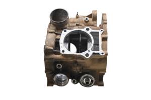 Yamaha - 09 Yamaha Grizzly 550 4x4 Crankcase Center Crank Case YFM550F - Image 2