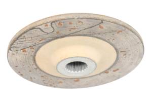 Polaris - 21 Polaris PRO XD 4000D Crew Rear Park Brake Rotor Disc - Image 3