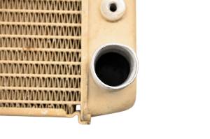 Polaris - 15 Polaris RZR 1000 XP EPS Radiator - Image 5