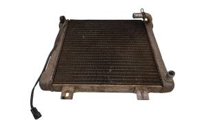Polaris - 02 Polaris Sportsman 500 HO Radiator - Image 2