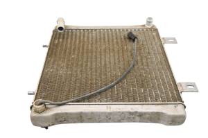 Polaris - 00 Polaris Sportsman 500 4x4 Radiator - Image 5