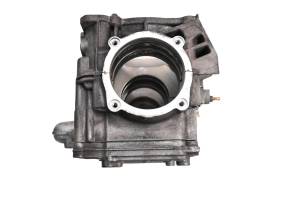 Ski-Doo - 12 Ski-Doo GSX SE 800 HO E-Tec Crankcase Center Crank Case 137" - Image 2