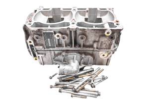 14 Ski-Doo Renegade Back Country 800R E-Tec Crankcase Center Crank Case 137"