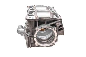 Ski-Doo - 14 Ski-Doo Renegade Back Country 800R E-Tec Crankcase Center Crank Case 137" - Image 4