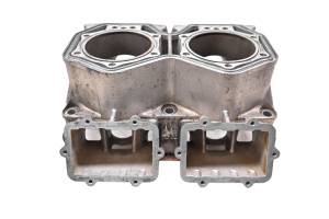 Ski-Doo - 14 Ski-Doo Renegade Back Country 800R E-Tec Cylinder 137" - Image 3