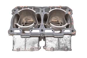 Ski-Doo - 14 Ski-Doo Renegade Back Country 800R E-Tec Cylinder 137" - Image 5