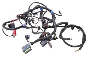 14 Ski-Doo Renegade Back Country 800R E-Tec Wire Harness Electrical Wiring 137"
