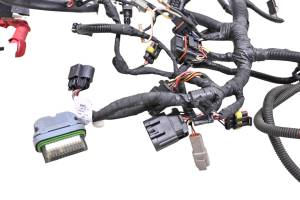 Ski-Doo - 14 Ski-Doo Renegade Back Country 800R E-Tec Wire Harness Electrical Wiring 137" - Image 2