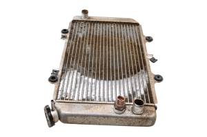 Yamaha - 04 Yamaha Grizzly 660 4x4 Radiator YFM660F - Image 2
