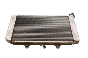 Yamaha - 04 Yamaha Grizzly 660 4x4 Radiator YFM660F - Image 3