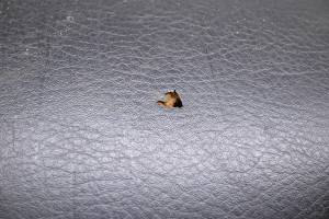 Yamaha - 04 Yamaha Grizzly 660 4x4 Seat YFM660F - Image 5