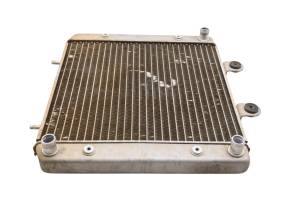 Polaris - 08 Polaris Sportsman 500 EFI 4x4 Radiator - Image 2