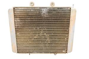 14 Polaris RZR 4 800 EPS Radiator