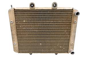 Polaris - 13 Polaris RZR 800 EFI EPS 4x4 Radiator - Image 3